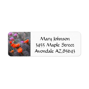 Colors of the desert cactus blooms return address label