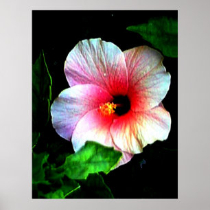 Colossal 72" x 52" and 52" x 72" Giclée Art Poster