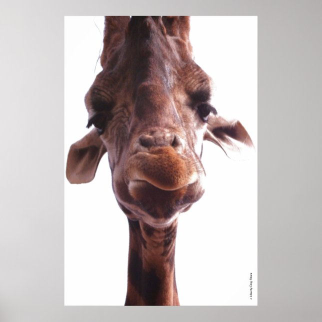 COLOSSAL POSTERS - GIRAFFE FACE - HUMOR PHOTO (Front)