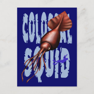 Colossal Squid Postcards