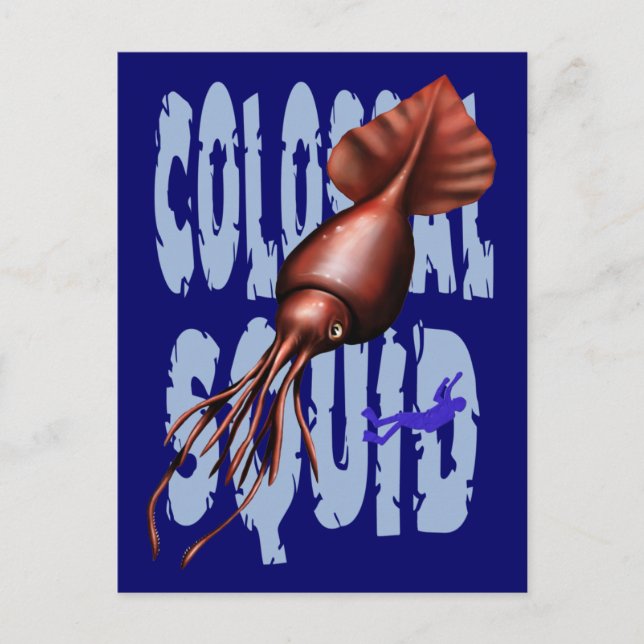 Colossal Squid Postcards (Front)