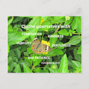 Colossians 3:12 Clothe yourselves with compassion Postcard