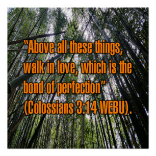 Colossians 3:14 WEBU Poster