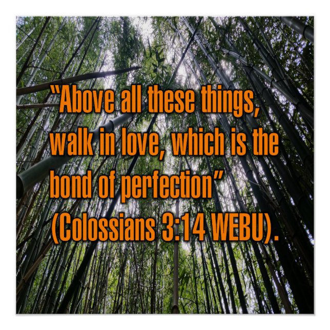 Colossians 3:14 WEBU Poster (Front)