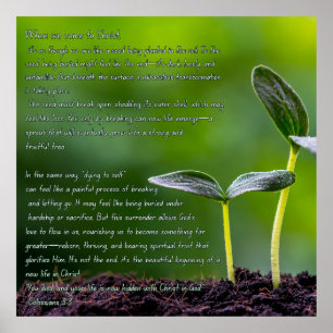 Colossians 3:3 graphic with a garden sprout poster