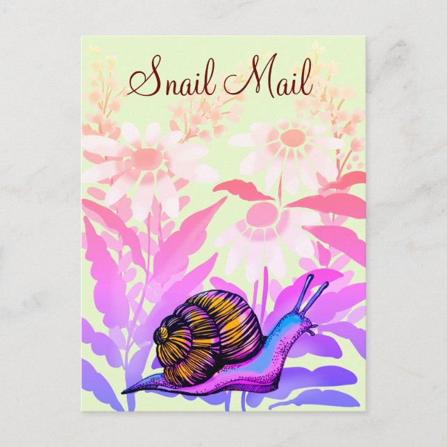 colouful snail mail postcard (Front)