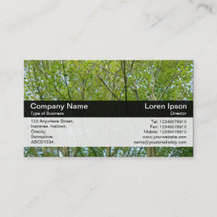 Colour Band - Black - Japanese Maple Business Card