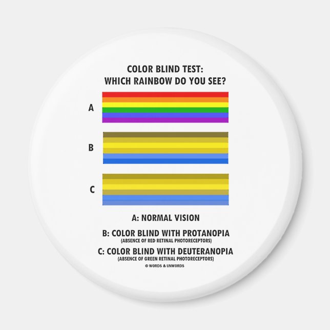Colour Blind Test (Colours Of Rainbow Vision Test) Magnet (Front)