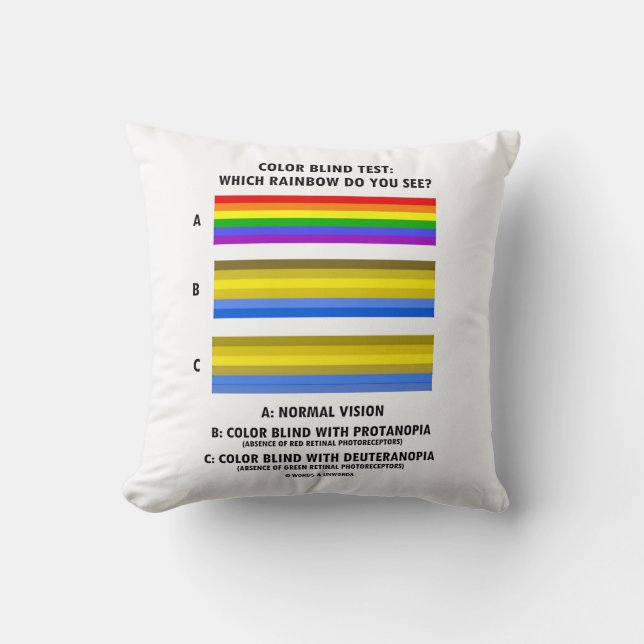Colour Blind Test Which Rainbow Do You See? Cushion (Front)