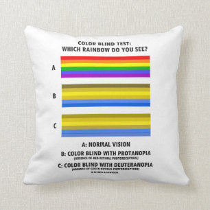Colour Blind Test Which Rainbow Do You See? Cushion