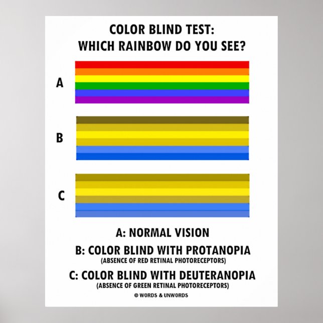 Colour Blind Test Which Rainbow Do You See? Poster (Front)