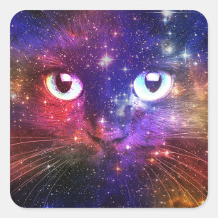 Colour Burst Galaxy Cat Square Sticker