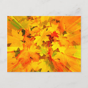 Colour Burst of Fall Leaves Autumn Colours Postcard