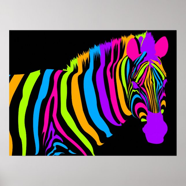 Colour Burst Zebra Poster (Front)