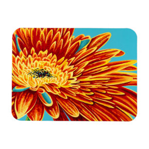 Colour Bursts I Magnet