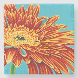 Colour Bursts I Stone Coaster