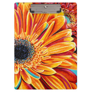 Colour Bursts II Clipboard