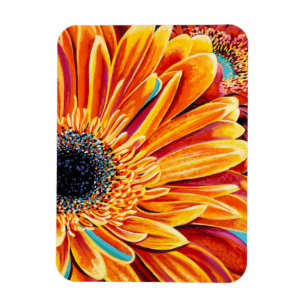 Colour Bursts II Magnet