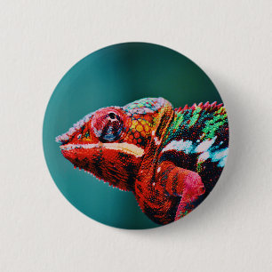 Colour Changing Rainbow Chameleon Reptile 6 Cm Round Badge