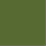 colour dark olive green standing photo sculpture<br><div class="desc">colour dark olive green 556B2F</div>