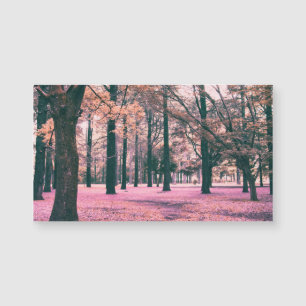 Colour effected trees in Yoyogi Park in Tokyo.