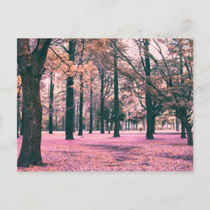 Colour effected trees in Yoyogi Park in Tokyo. Postcard