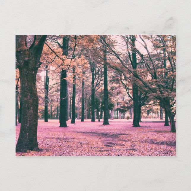 Colour effected trees in Yoyogi Park in Tokyo. Postcard (Front)