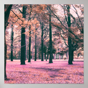 Colour effected trees in Yoyogi Park in Tokyo. Poster
