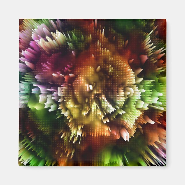 Colour Explosion Magnet (Front)