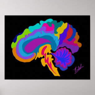 Colour-filled brain art poster