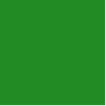 colour forest green standing photo sculpture<br><div class="desc">colour forest green 228B22</div>