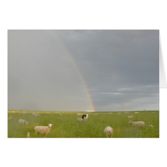 Colour Guard card (Front Horizontal)