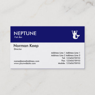 Colour Header - Dark Blue - Neptune Business Card