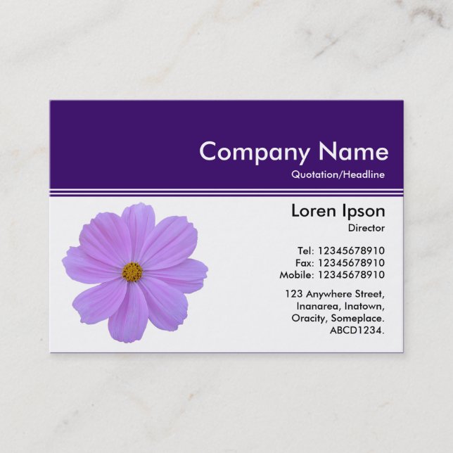 Colour Header III v2 - Deep Purple - Purple Cosmos Business Card (Front)