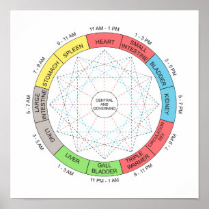 Colour Horary Cycle Acupuncture Art Poster