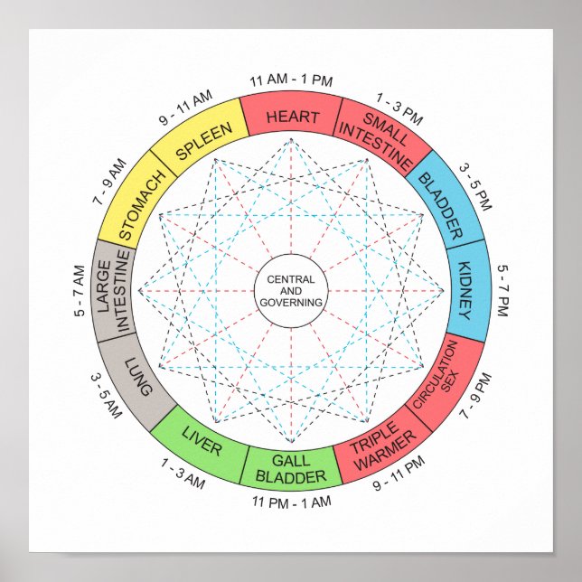 Colour Horary Cycle Acupuncture Art Poster (Front)