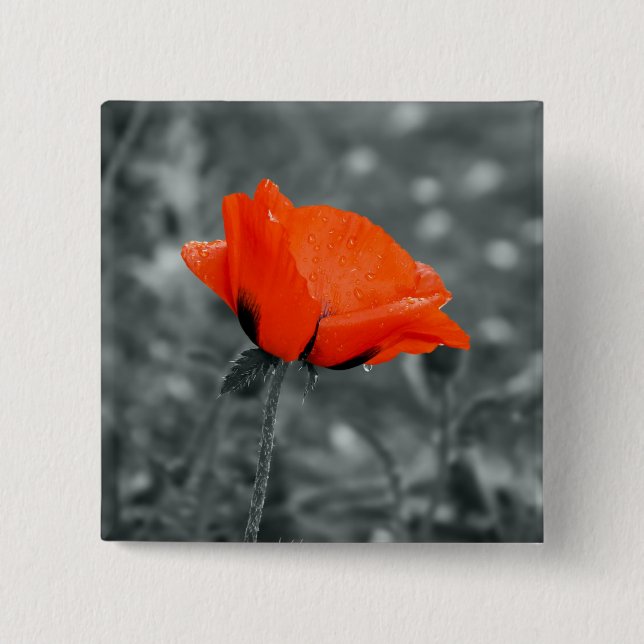 Colour key Poppy Button (Front)