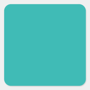 colour light sea green square sticker