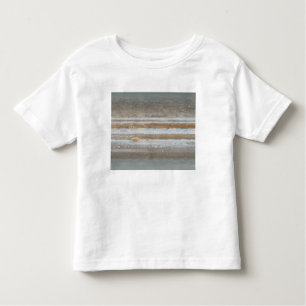 Colour map of Jupiter 2 Toddler T-Shirt