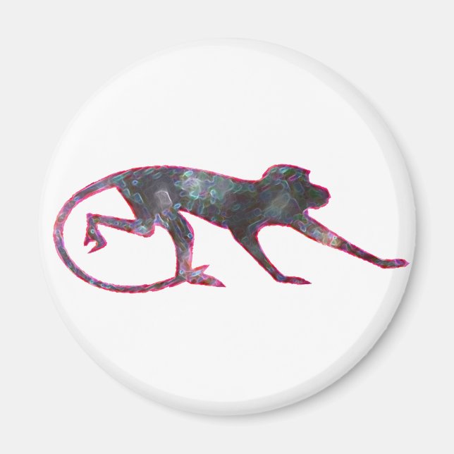 Colour Monkey Magnet (Front)