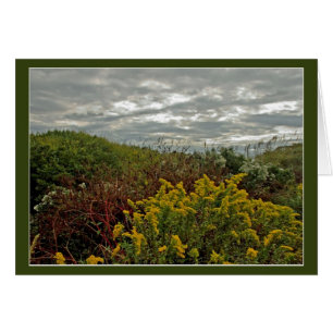 Colour on the Dunes