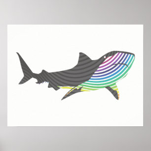 Colour Shark Swirl Poster