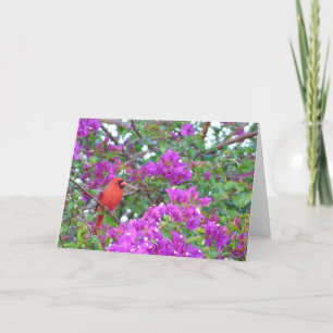 Colour Splash Card