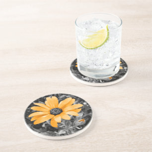 Colour Splash Spring Flash African Daisy Coaster