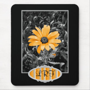 Colour Splash Spring Flash African Daisy Mouse Pad