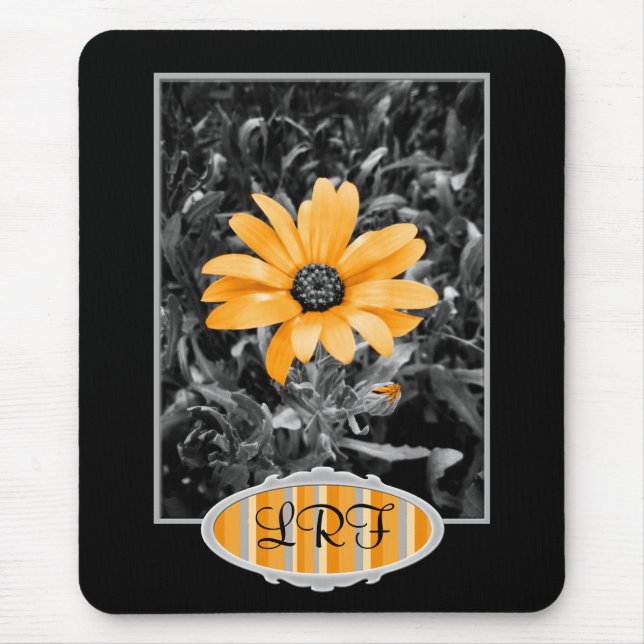 Colour Splash Spring Flash African Daisy Mouse Pad (Front)