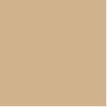 colour tan standing photo sculpture<br><div class="desc">colour tan D2B48C type of brown</div>