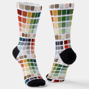 Colour Test Socks