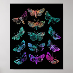 Colour tie dye print butterfly rainbow hippie