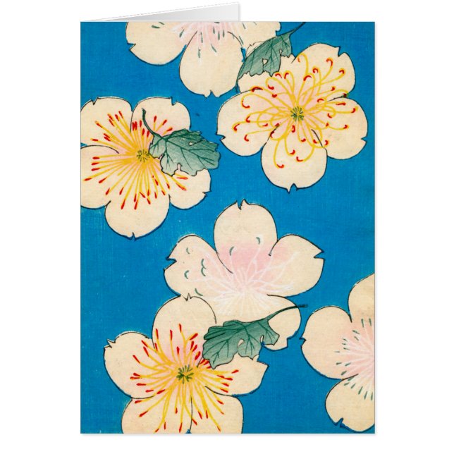 Colour Woodblock Print of Dogwood Blossoms (Front)